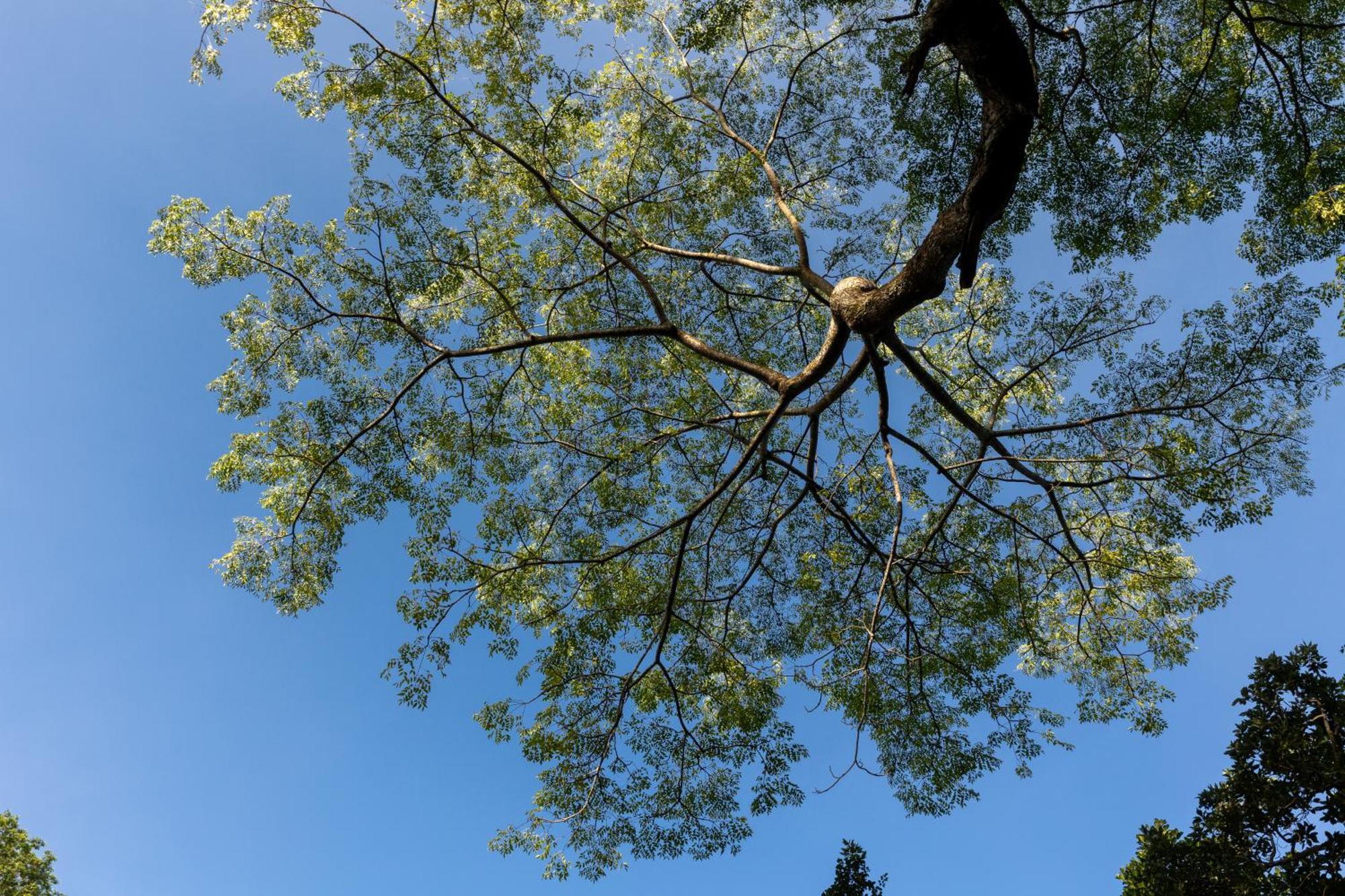 Greenwood Edge แคนดี้ ภายนอก รูปภาพ