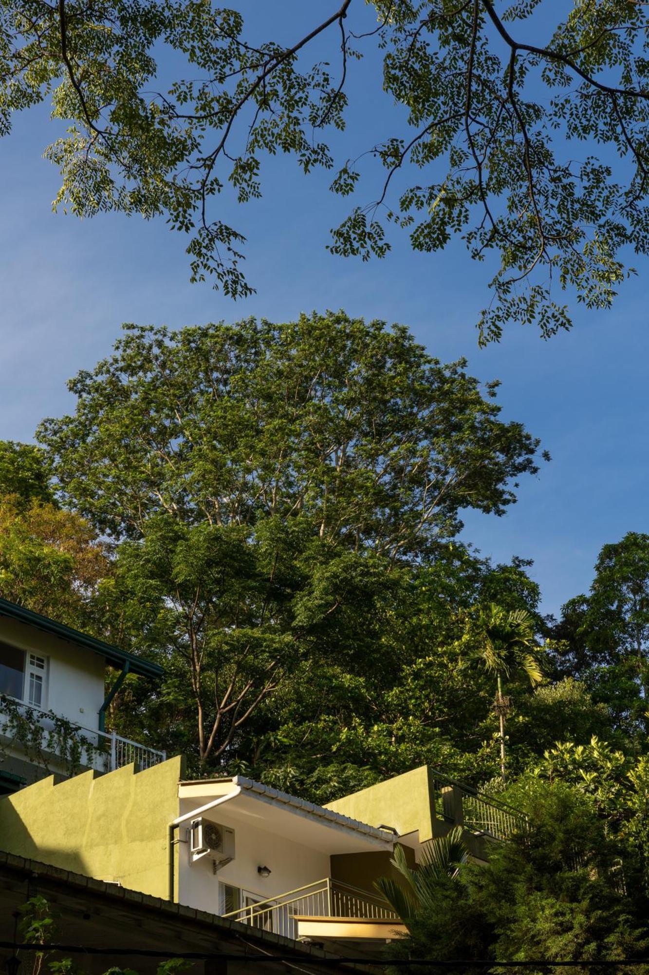 Greenwood Edge แคนดี้ ภายนอก รูปภาพ