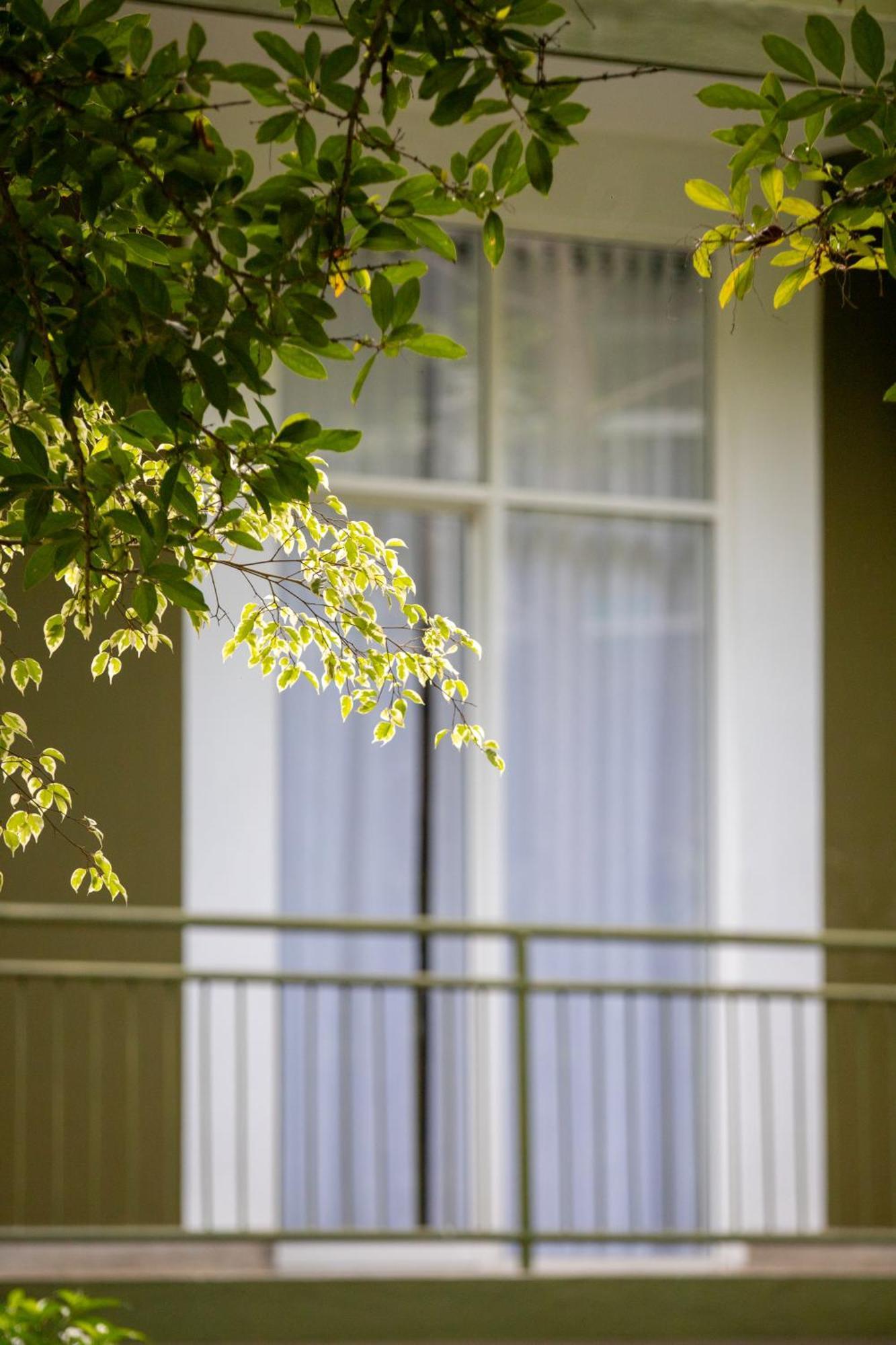 Greenwood Edge แคนดี้ ภายนอก รูปภาพ