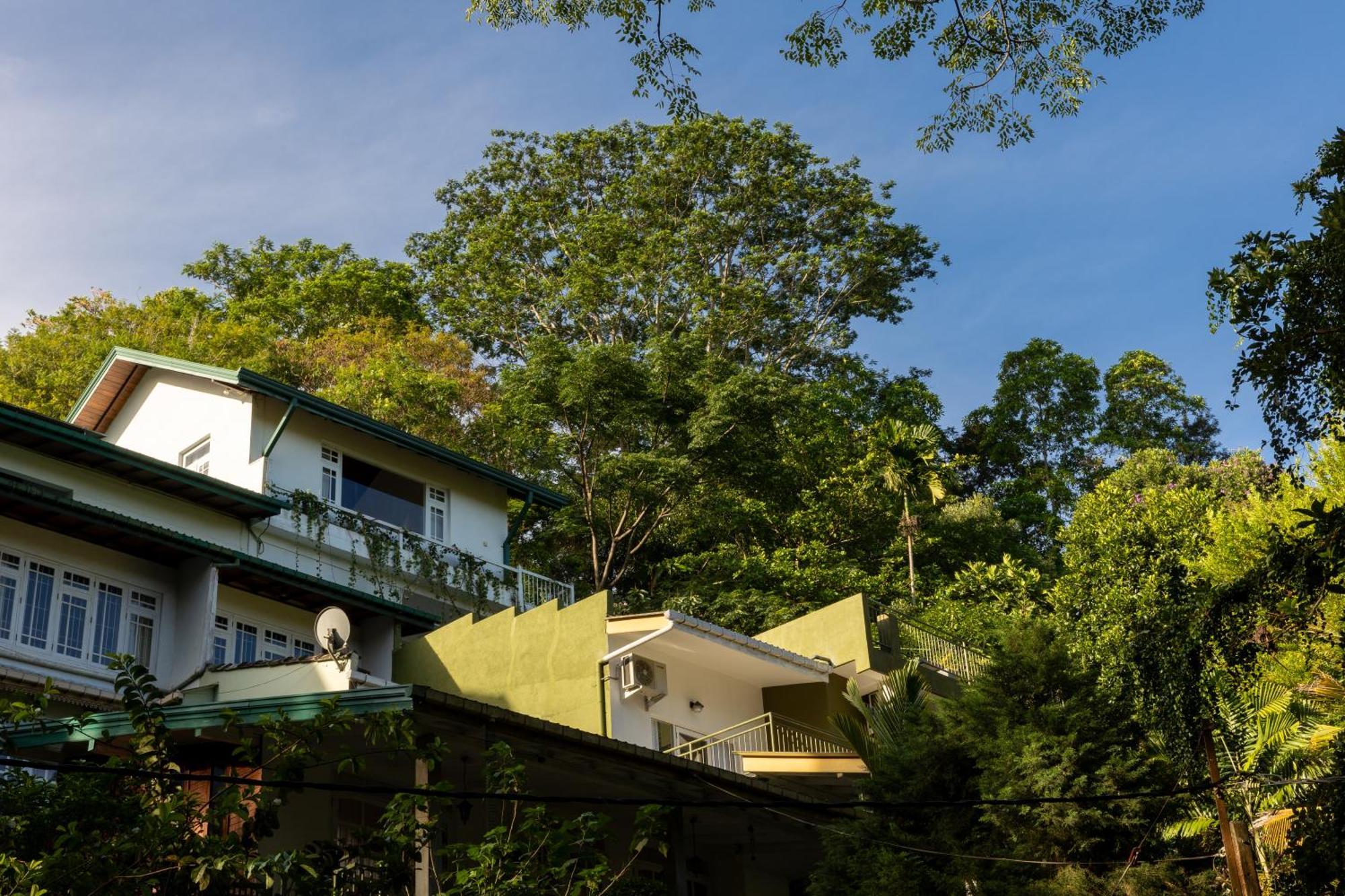 Greenwood Edge แคนดี้ ภายนอก รูปภาพ