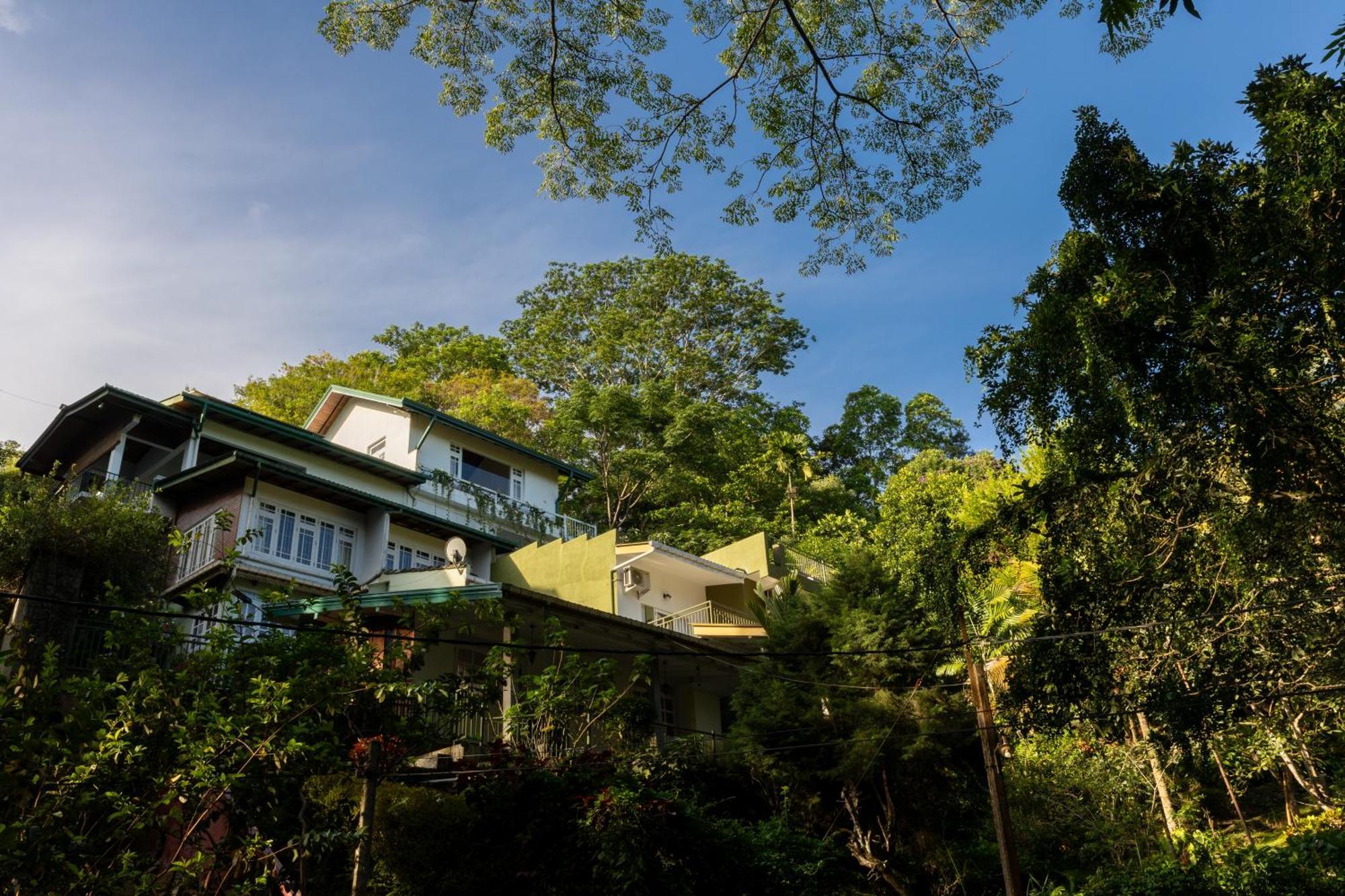 Greenwood Edge แคนดี้ ภายนอก รูปภาพ